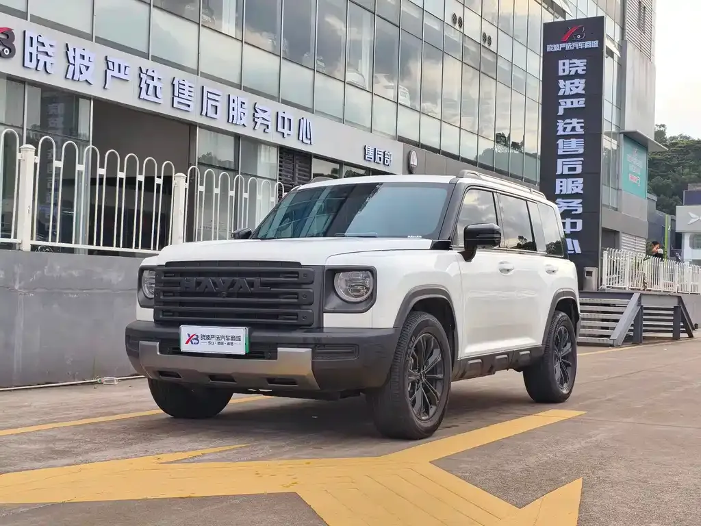 Haval Menglong New Energy — фото 1