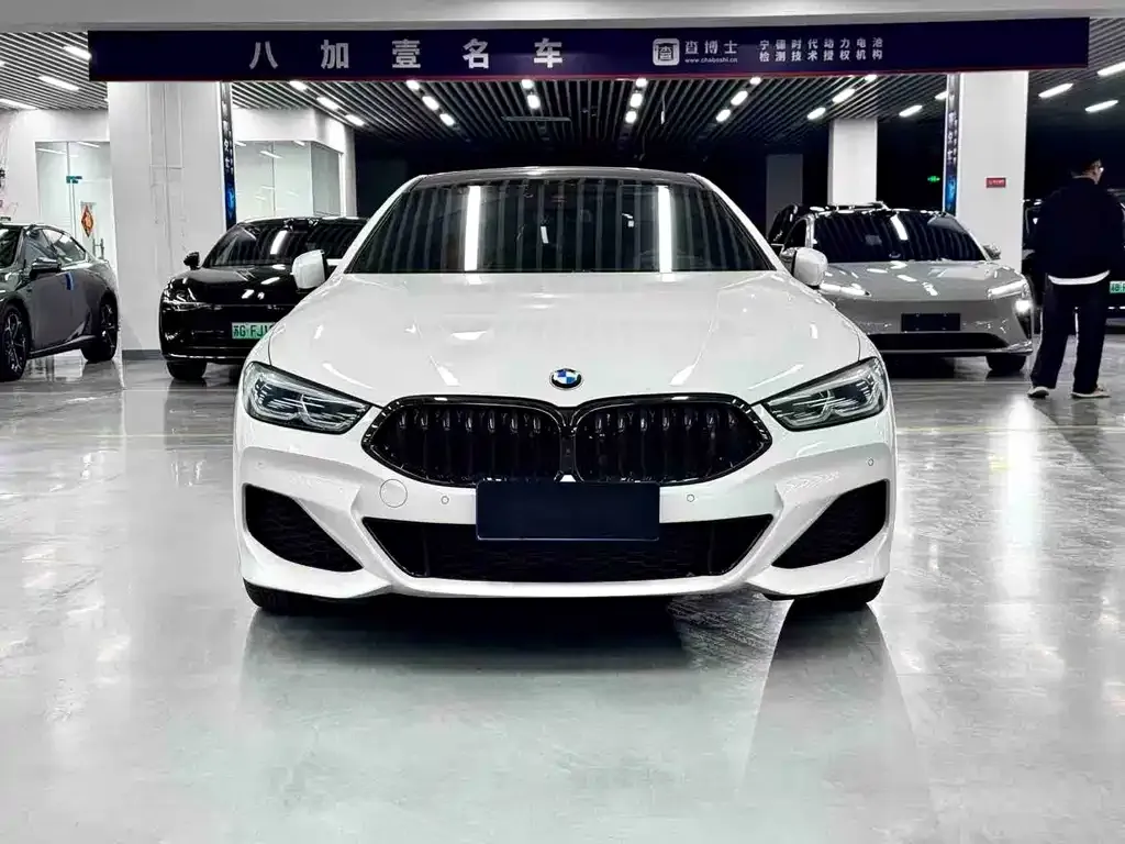 BMW 8 Series — фото 8