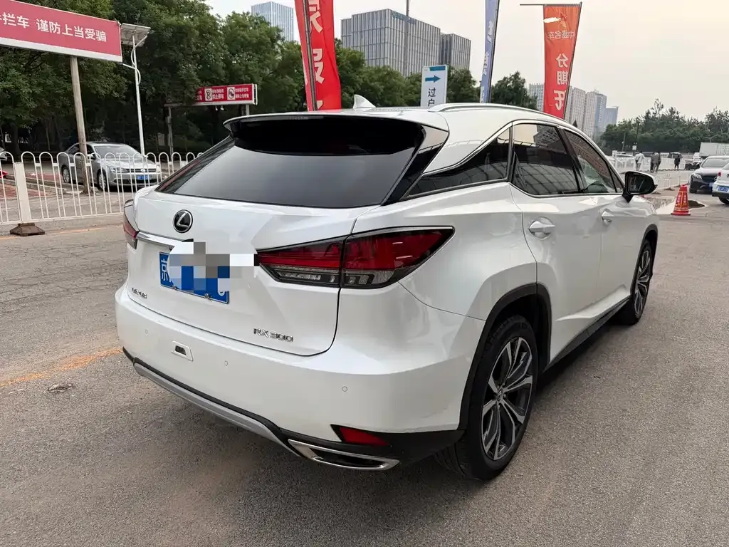 Lexus RX — фото 10