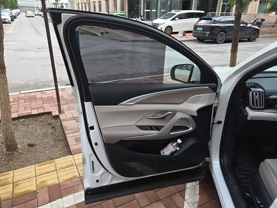 BYD Pro New Energy — фото 5