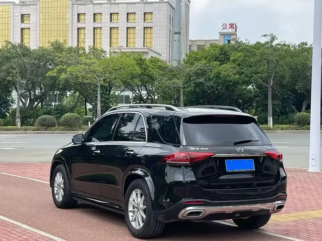 Mercedes-Benz 奔驰GLE(进口) — фото 4