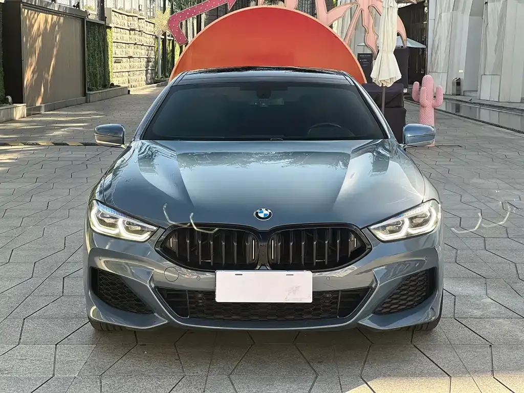 BMW 8 Series — фото 6