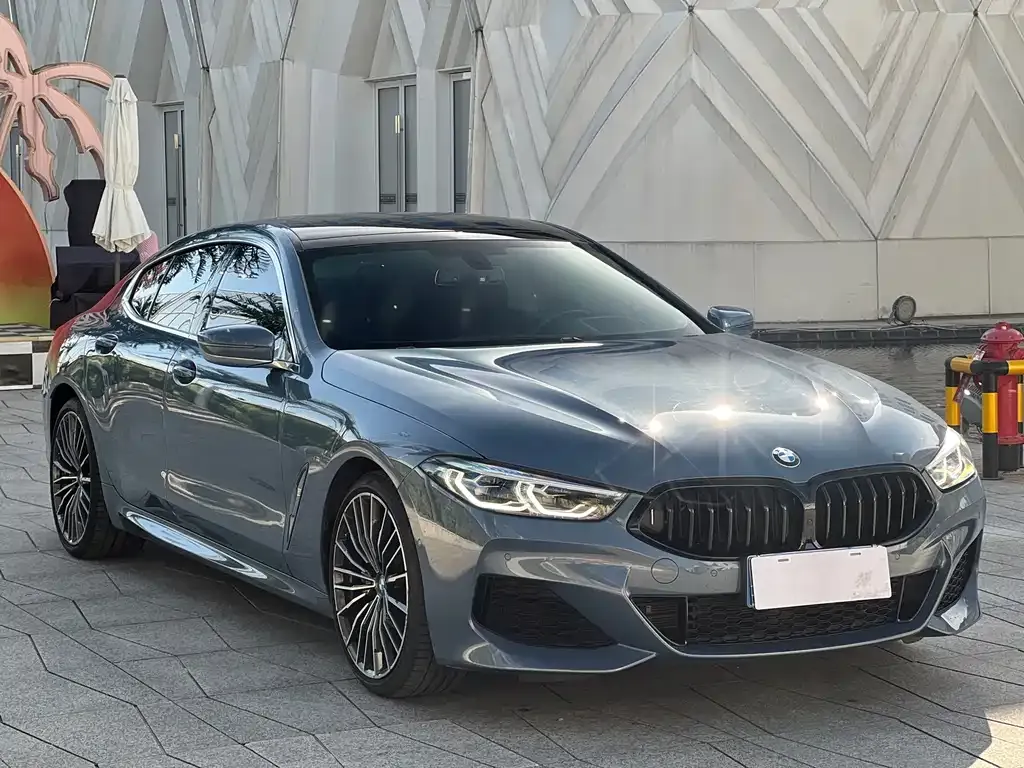 BMW 8 Series — фото 9