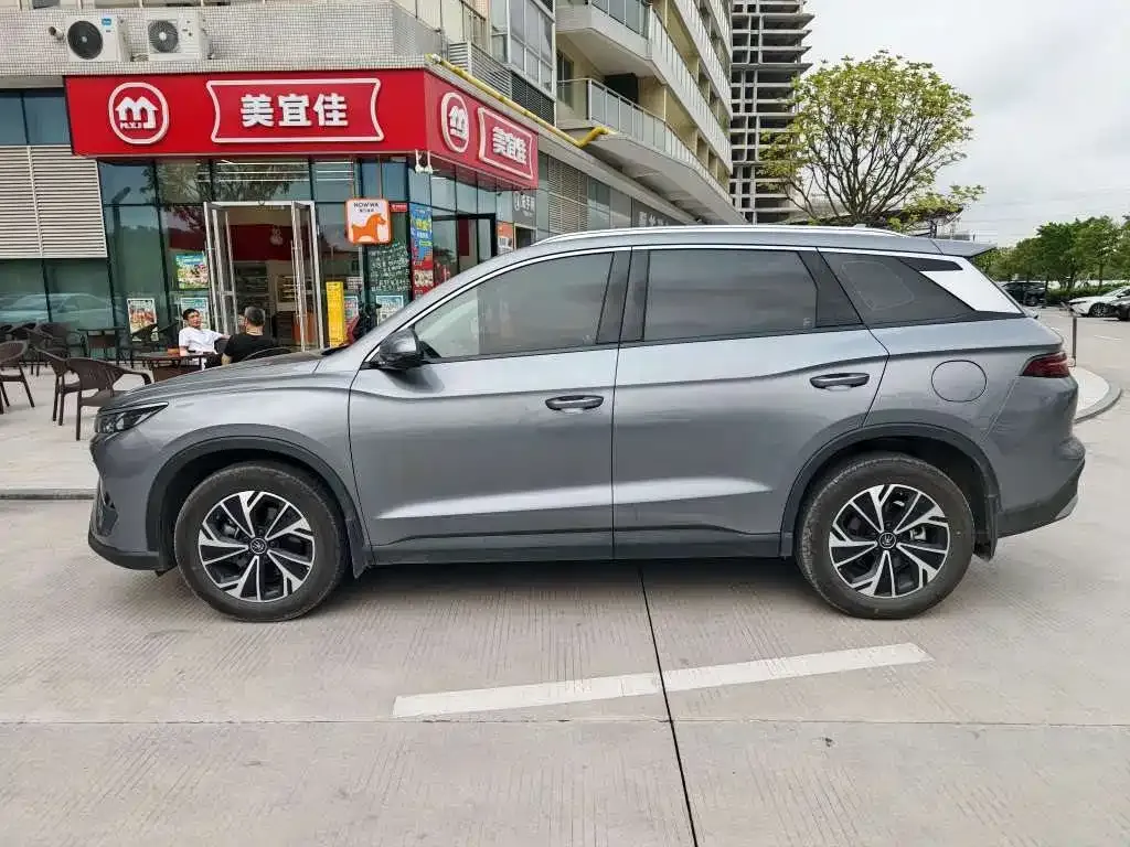 BYD Pro New Energy — фото 6