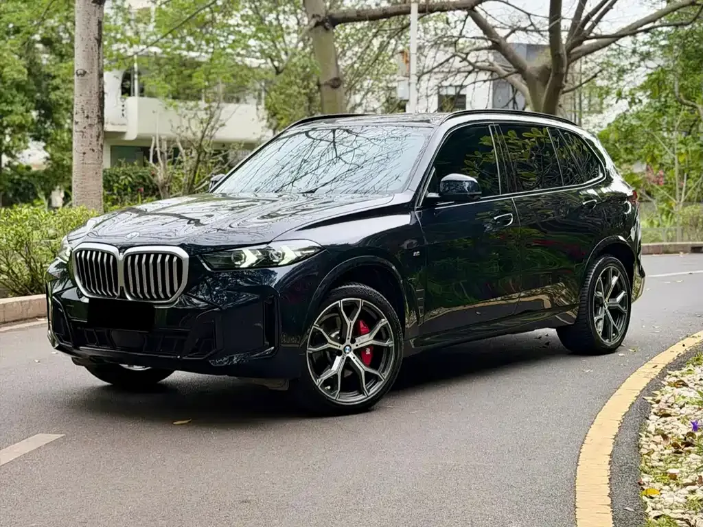 BMW X5 — фото 1