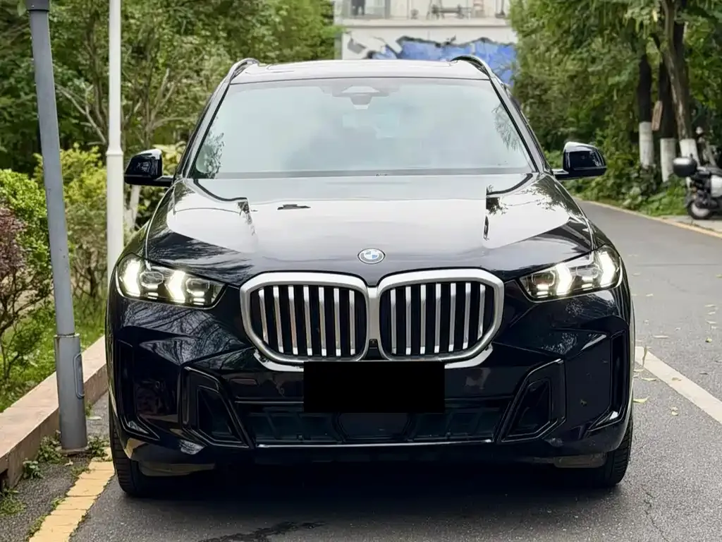 BMW X5 — фото 2