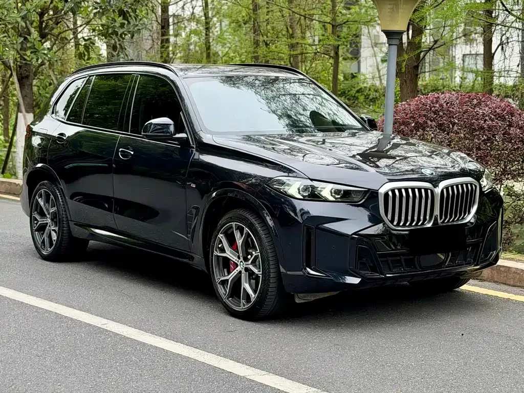 BMW X5 — фото 8