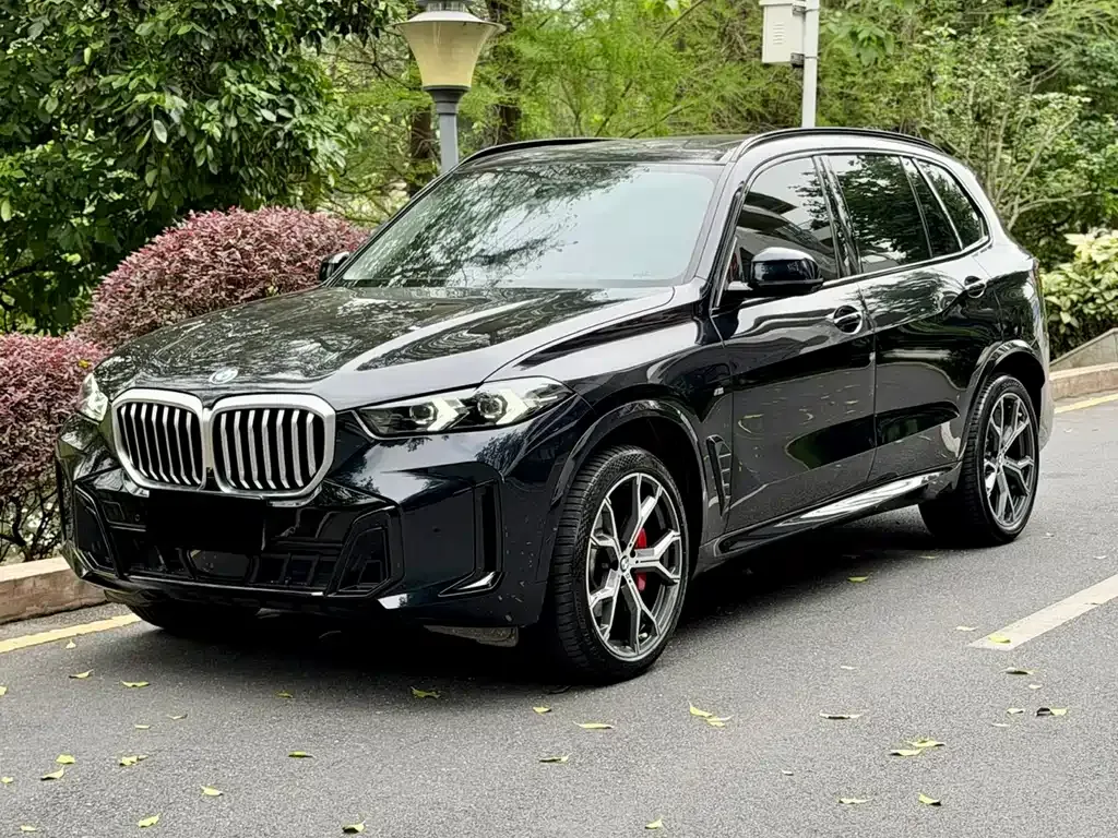 BMW X5 — фото 7