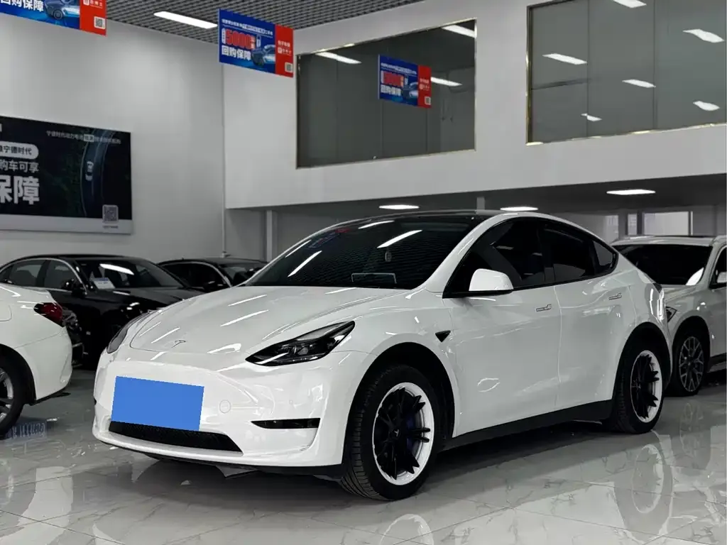 Tesla Model Y — фото 1