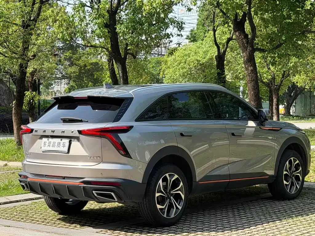 Haval Shenshou — фото 10