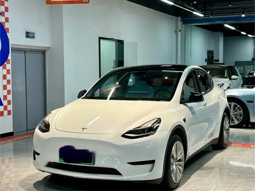 Tesla Model Y — фото 1