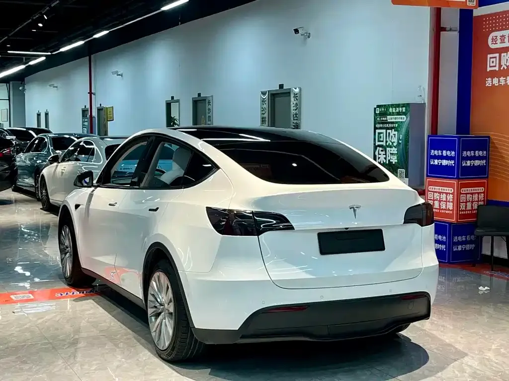 Tesla Model Y — фото 8