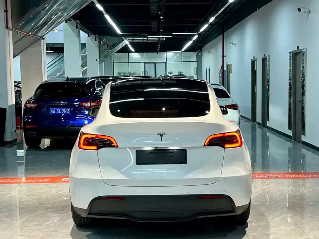 Tesla Model Y — фото 6