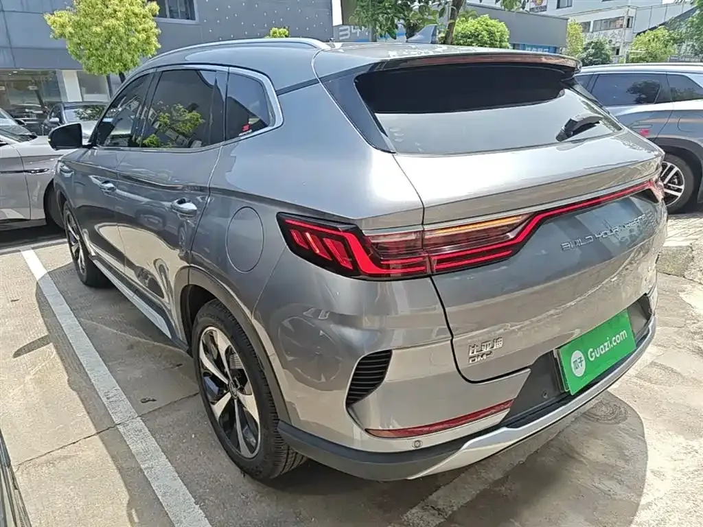 BYD PLUS New Energy — фото 2