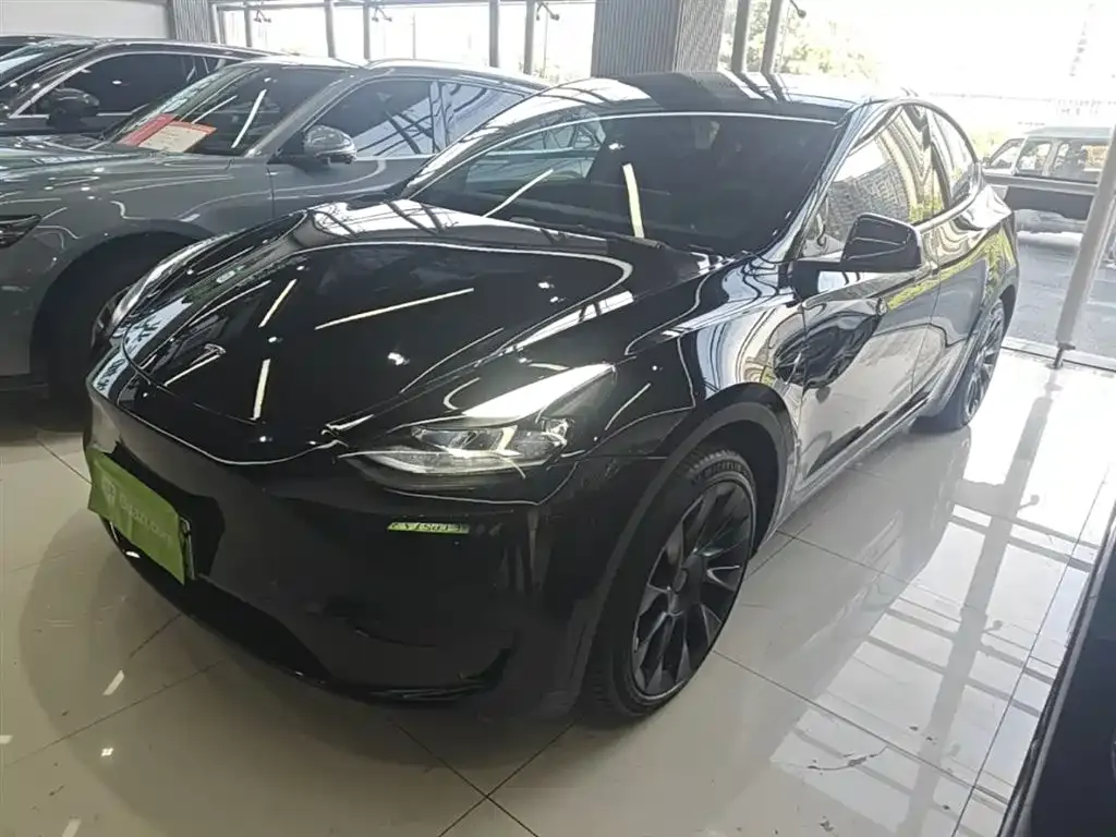 Tesla Model Y — фото 1