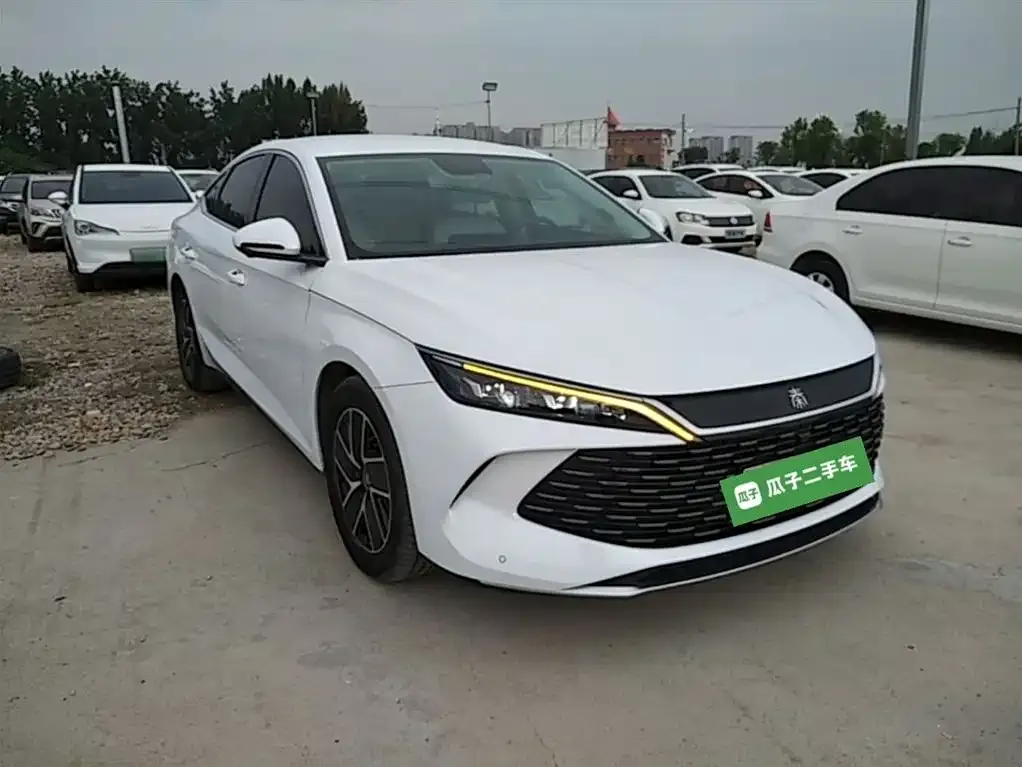 BYD Qin L — фото 2