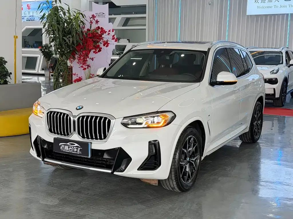 BMW X3 — фото 1