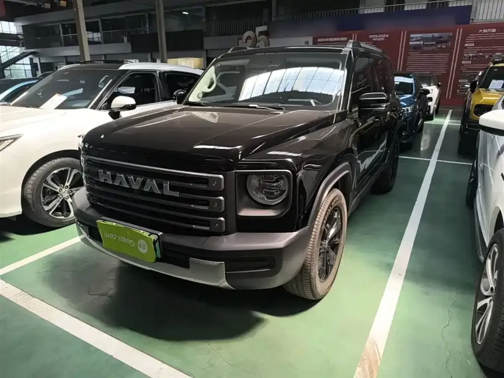 Haval Menglong New Energy — фото 7