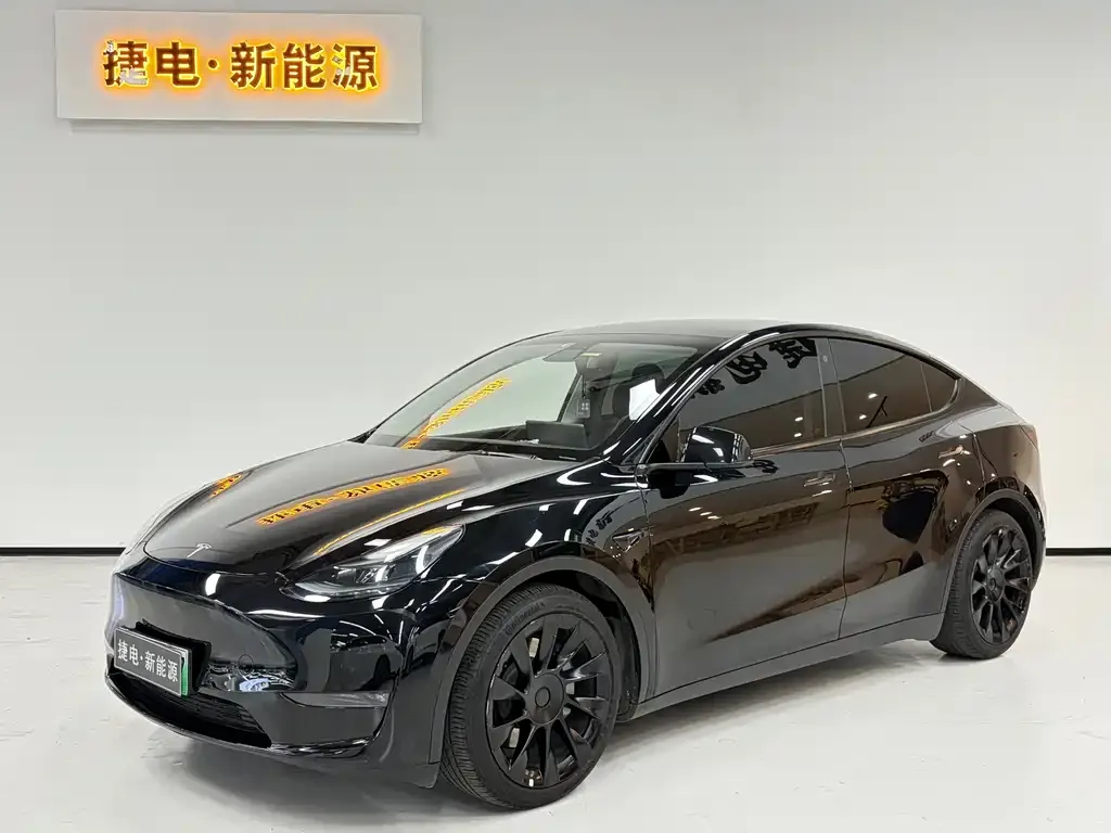 Tesla Model Y — фото 1
