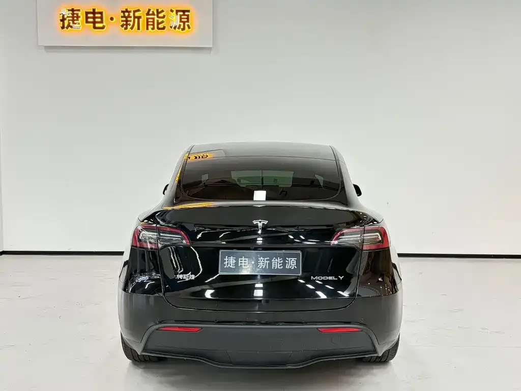 Tesla Model Y — фото 2