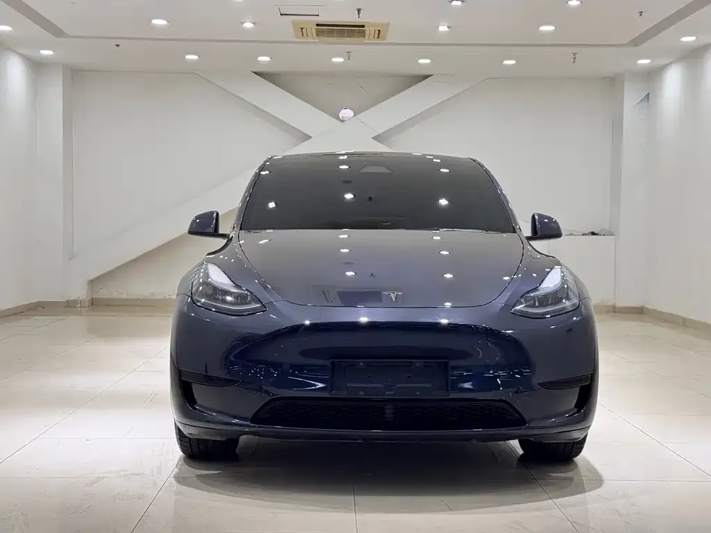 Tesla Model Y — фото 2