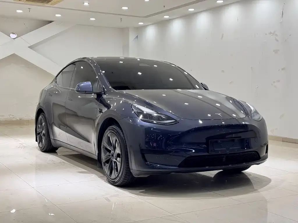 Tesla Model Y — фото 5