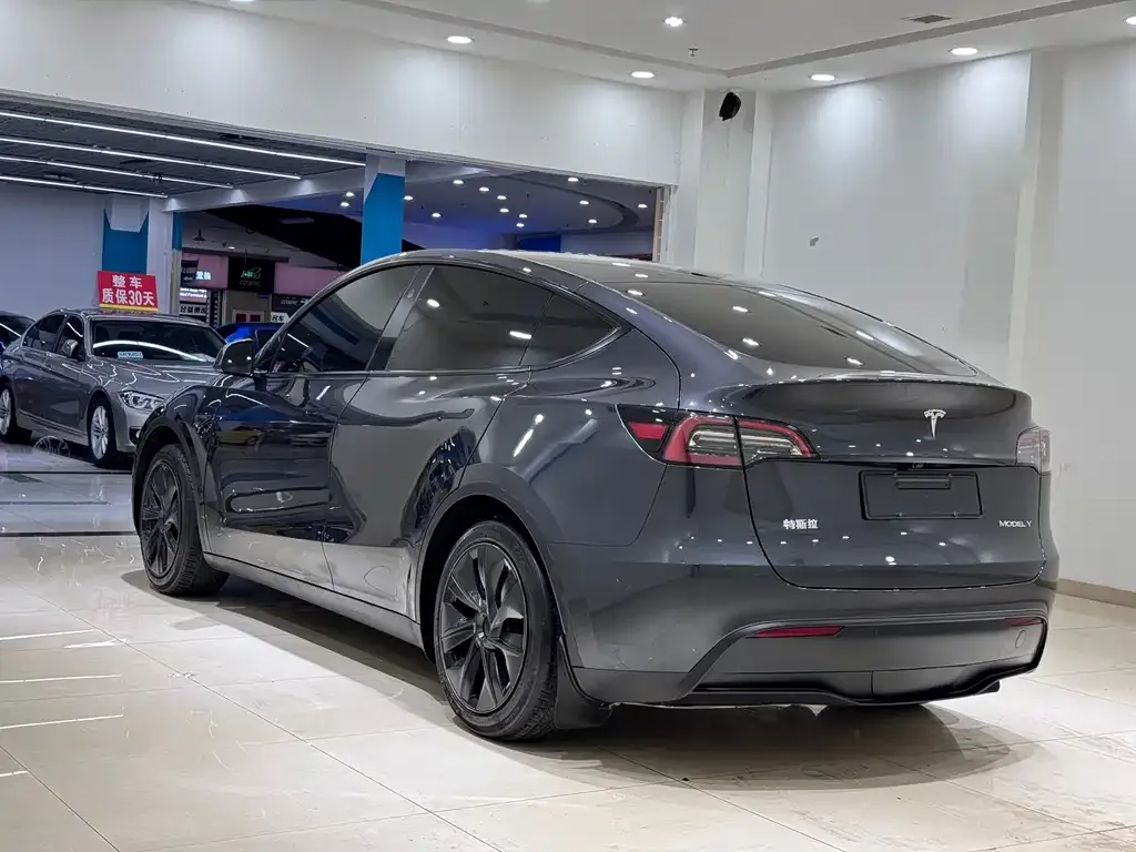 Tesla Model Y — фото 6