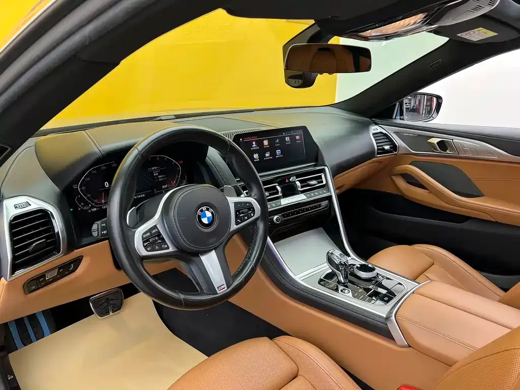 BMW 8 Series — фото 10