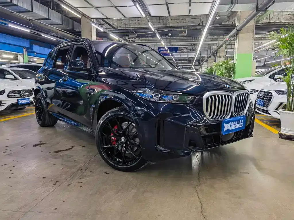 BMW X5 — фото 10
