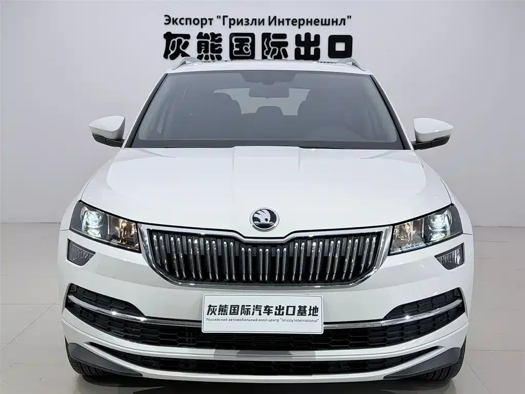 Skoda Karoq — фото 10