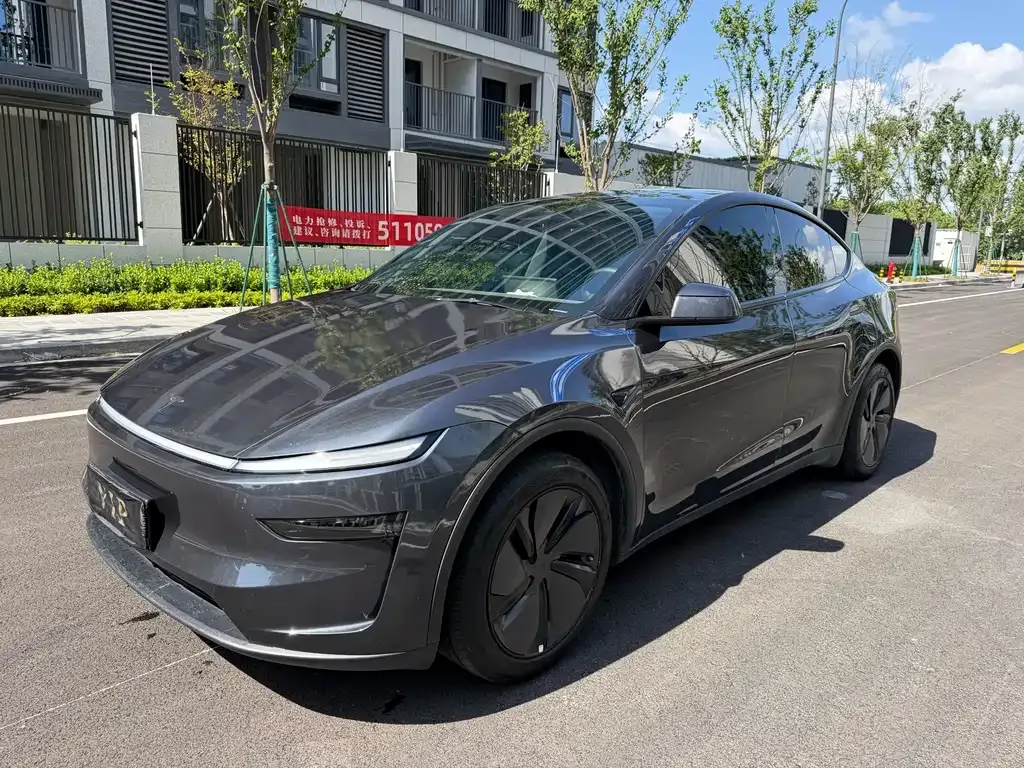 Tesla Model Y — фото 1