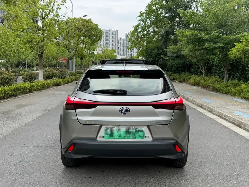 Lexus UX New Energy — фото 9