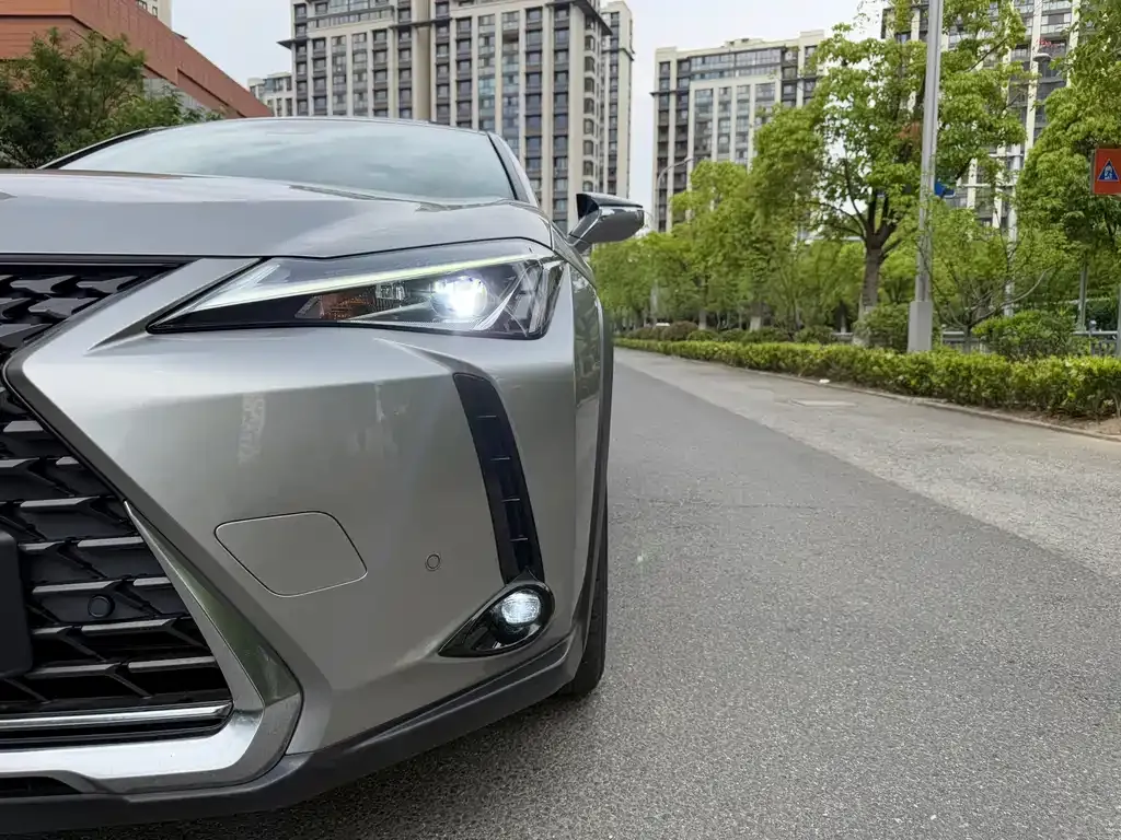 Lexus UX New Energy — фото 8