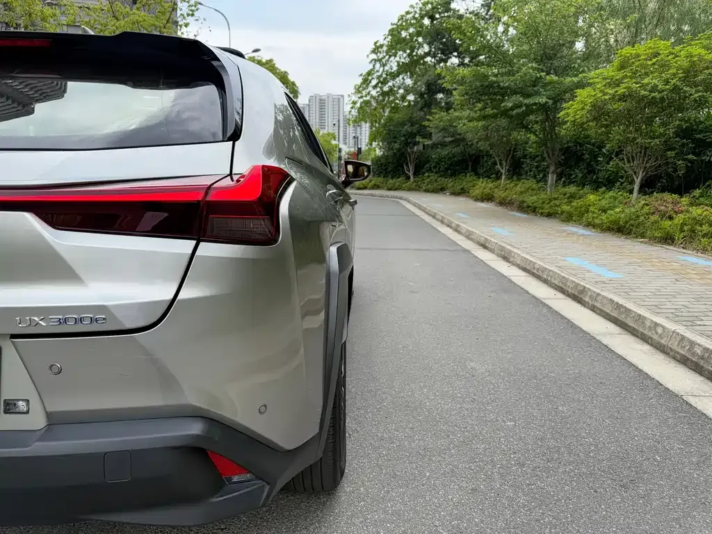 Lexus UX New Energy — фото 7