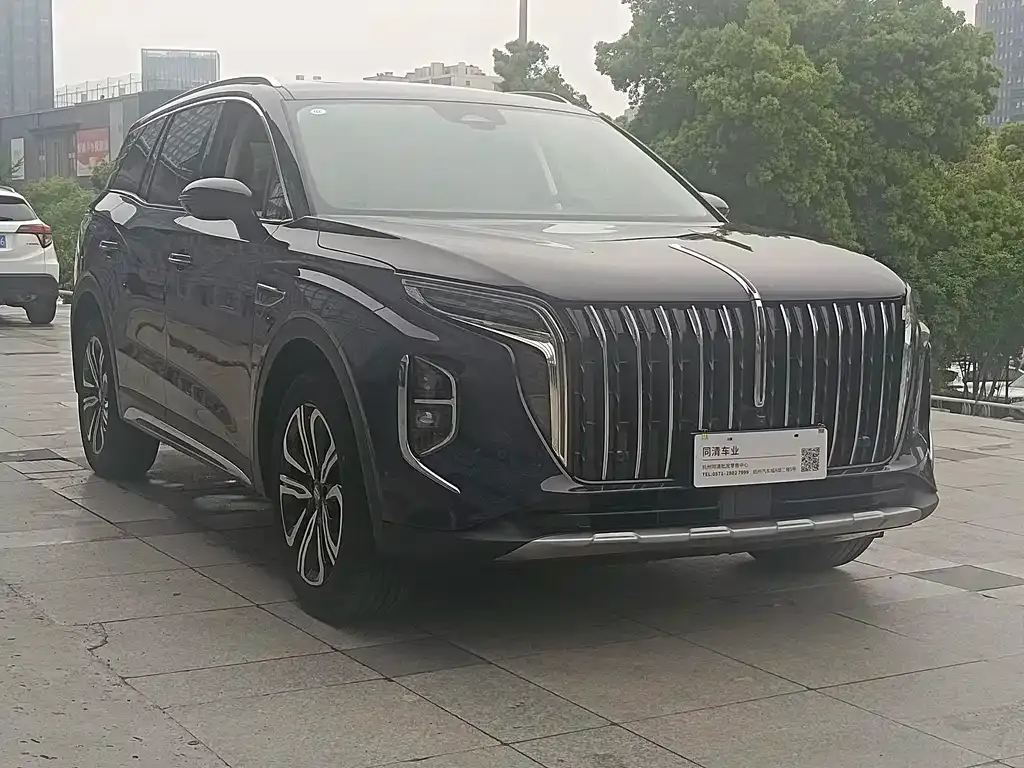 Hongqi HS7 — фото 10