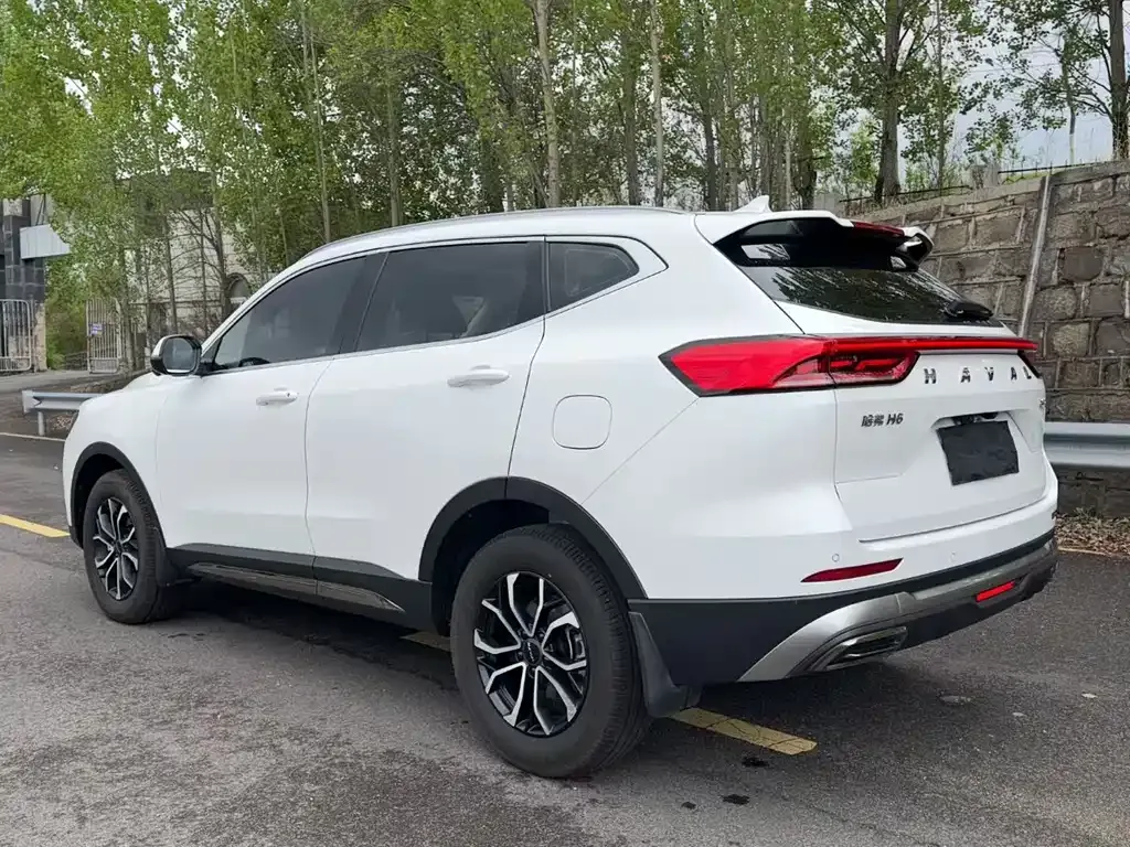 Haval H6 — фото 8