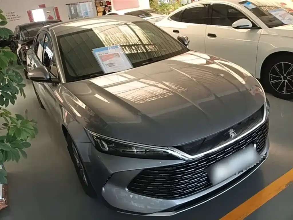 BYD Qin L — фото 4