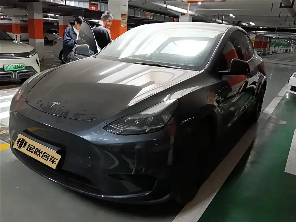 Tesla Model Y — фото 1