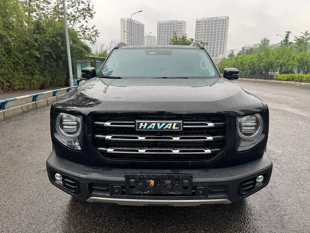 Haval Big Dog — фото 9