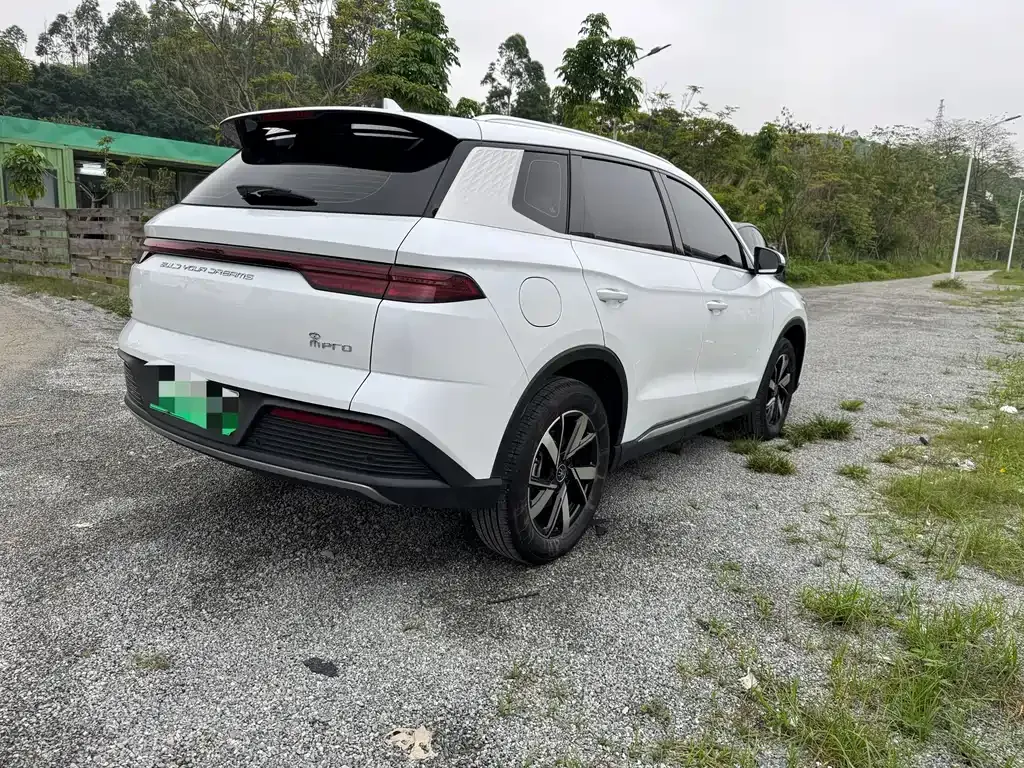 BYD Pro New Energy — фото 7