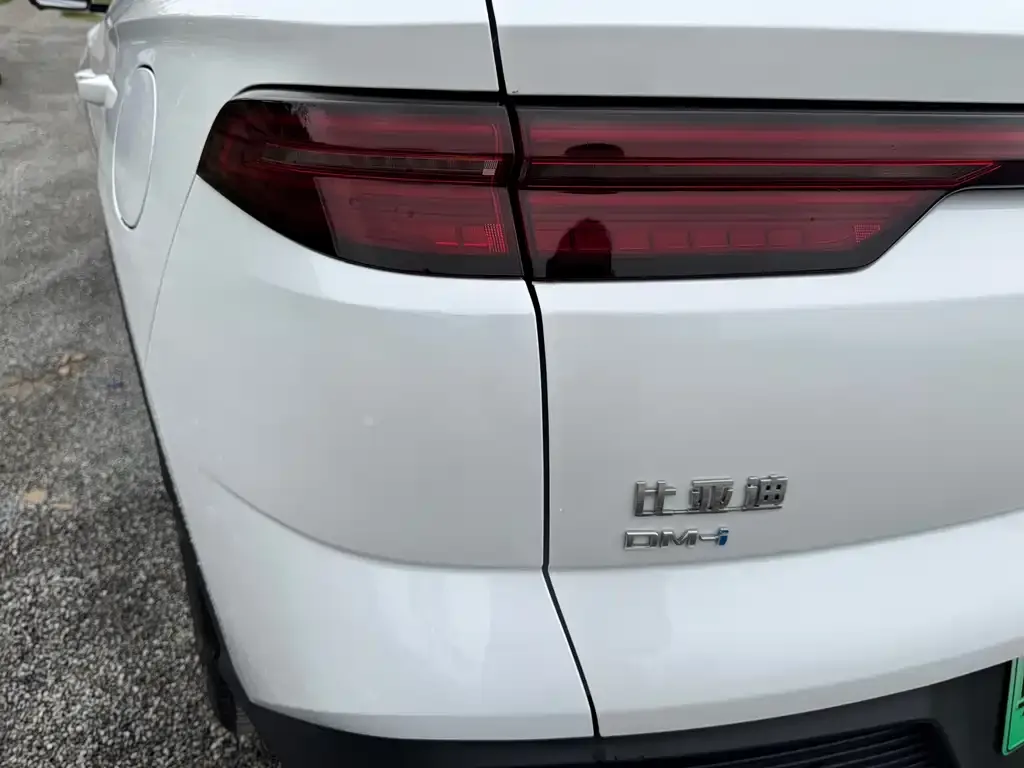 BYD Pro New Energy — фото 3