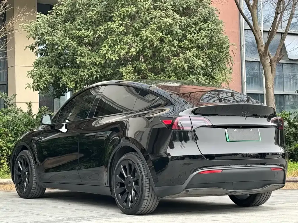 Tesla Model Y — фото 10