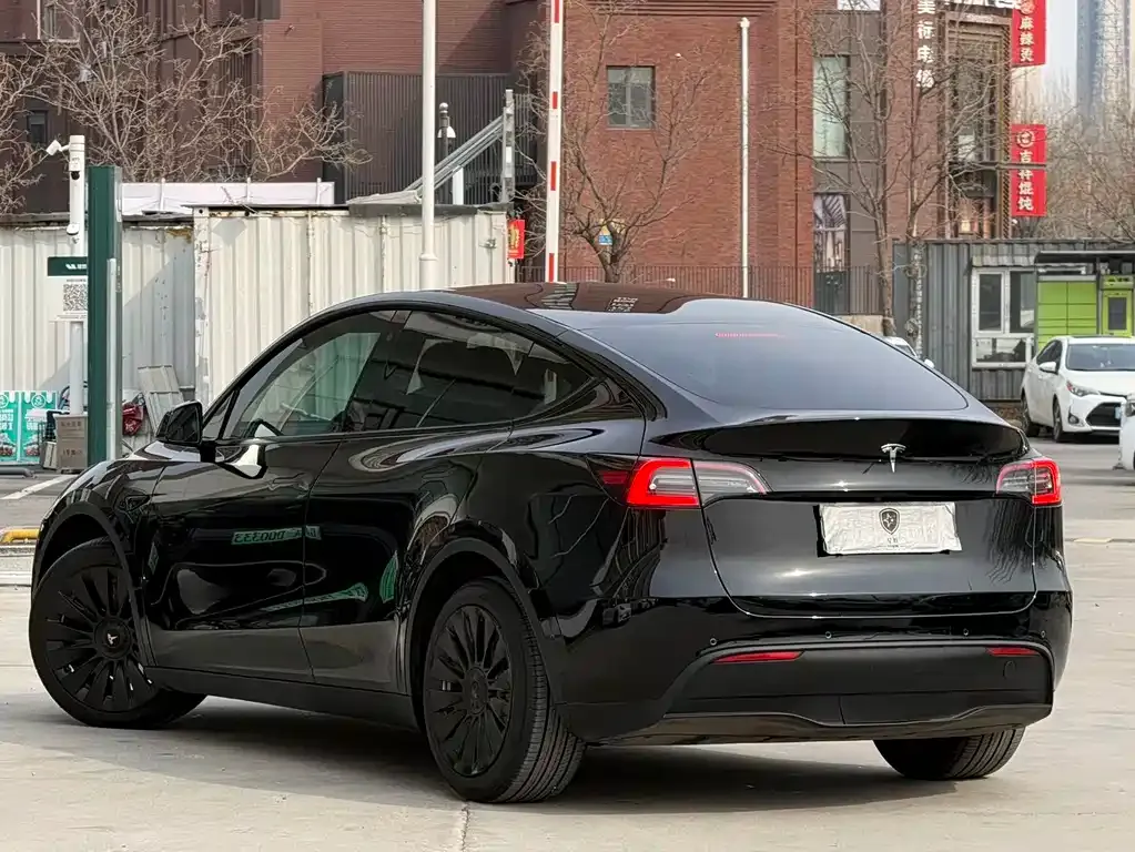 Tesla Model Y — фото 2