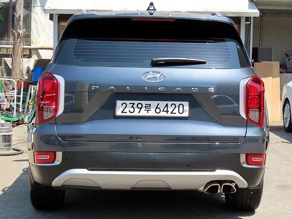 Hyundai Palisade — фото 7