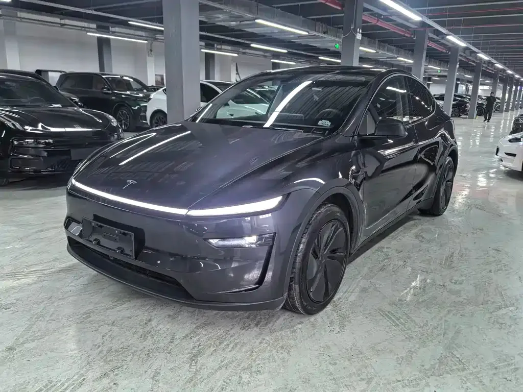 Tesla Model Y — фото 1