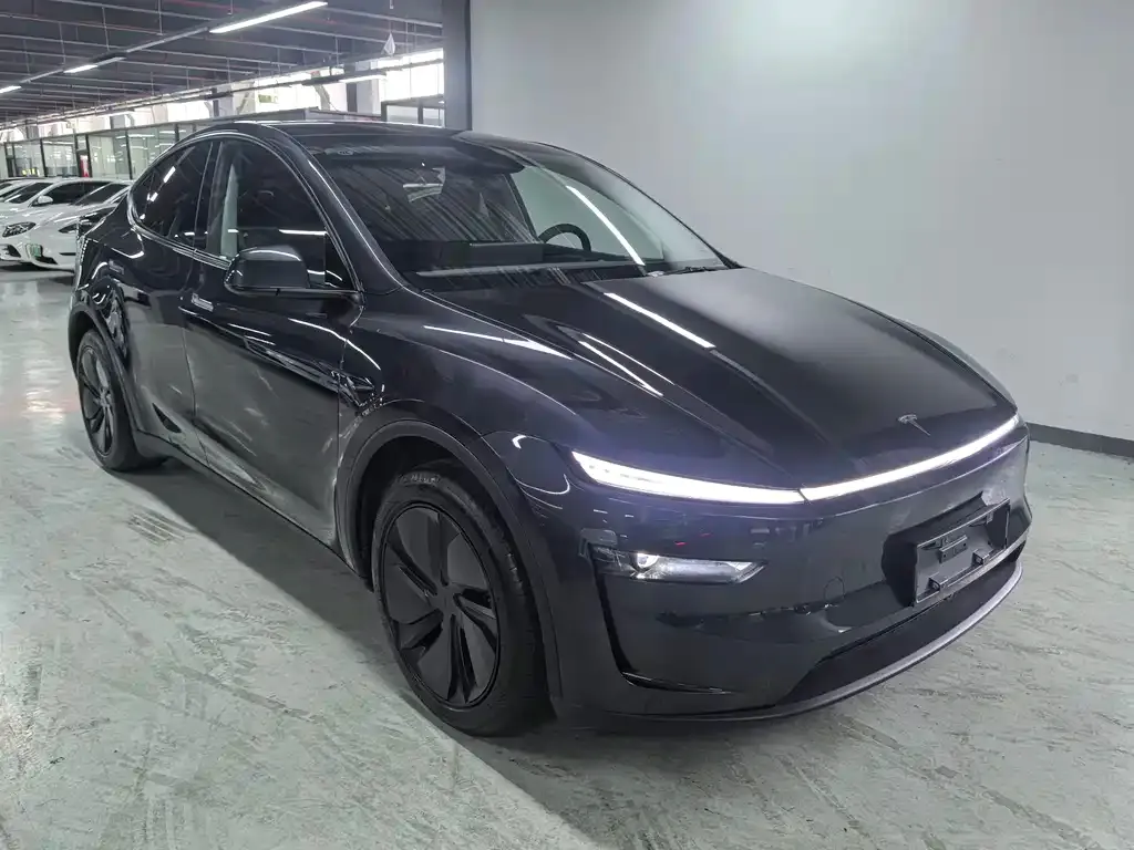 Tesla Model Y — фото 5