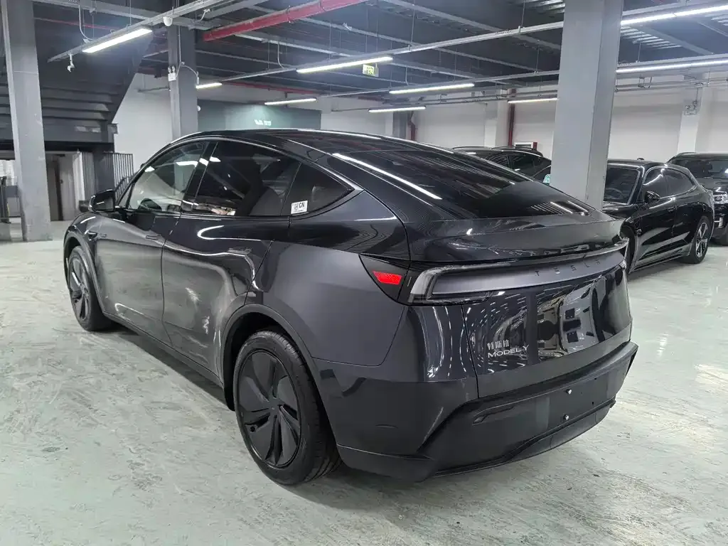 Tesla Model Y — фото 9