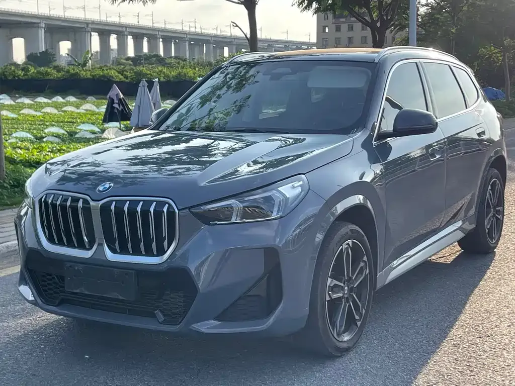 BMW X1 — фото 1