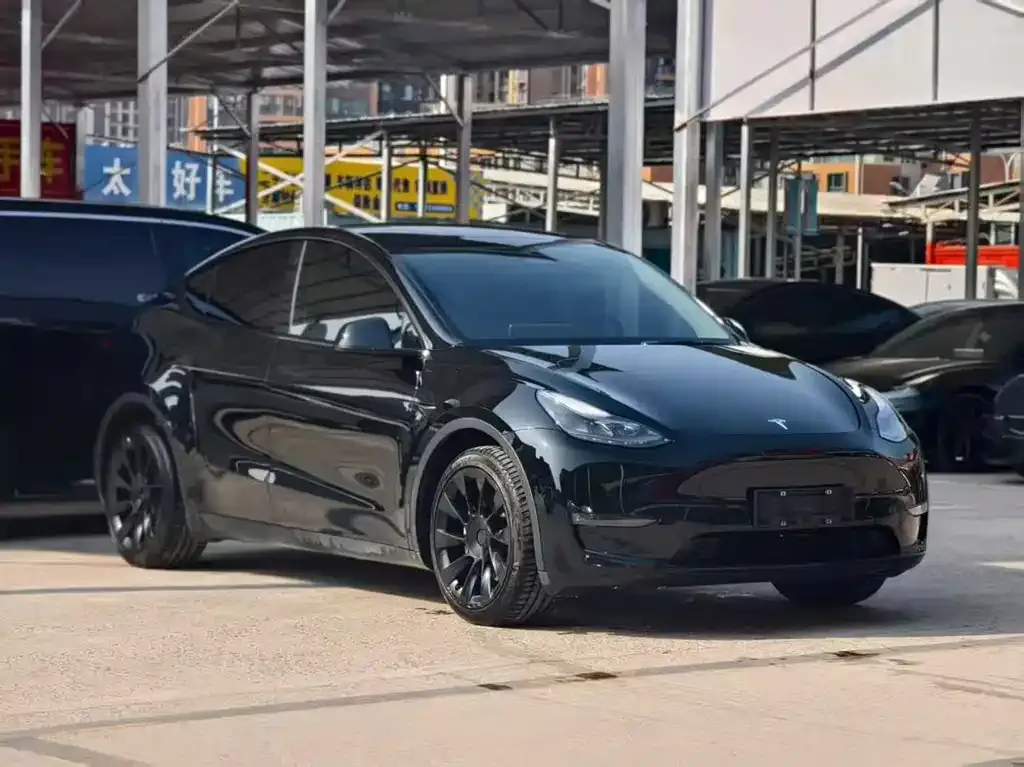 Tesla Model Y — фото 1