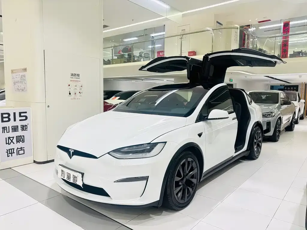 Tesla Model X — фото 1